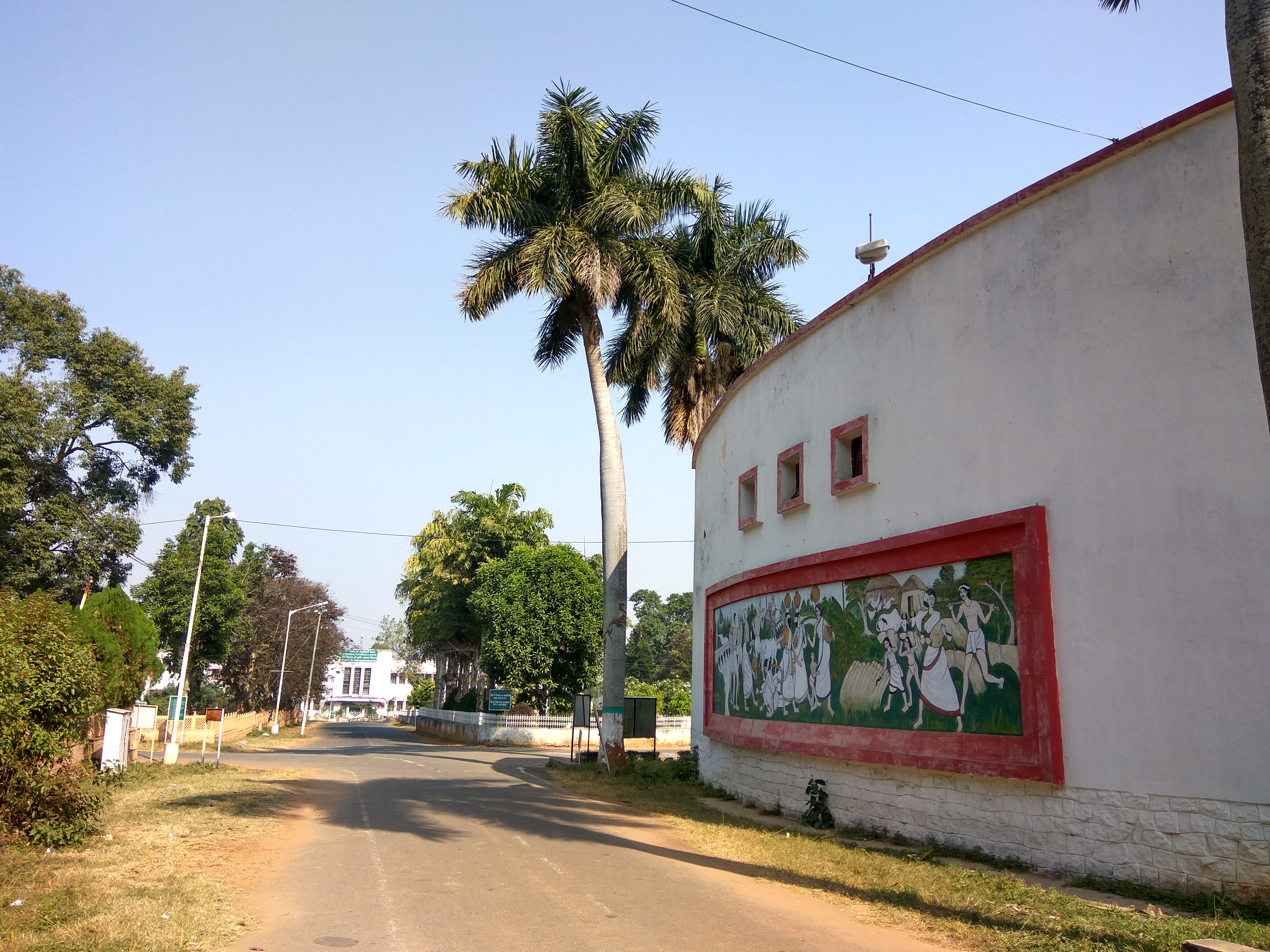 BAU Ranchi Campus View