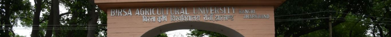 BAU Ranchi Entrance(1)