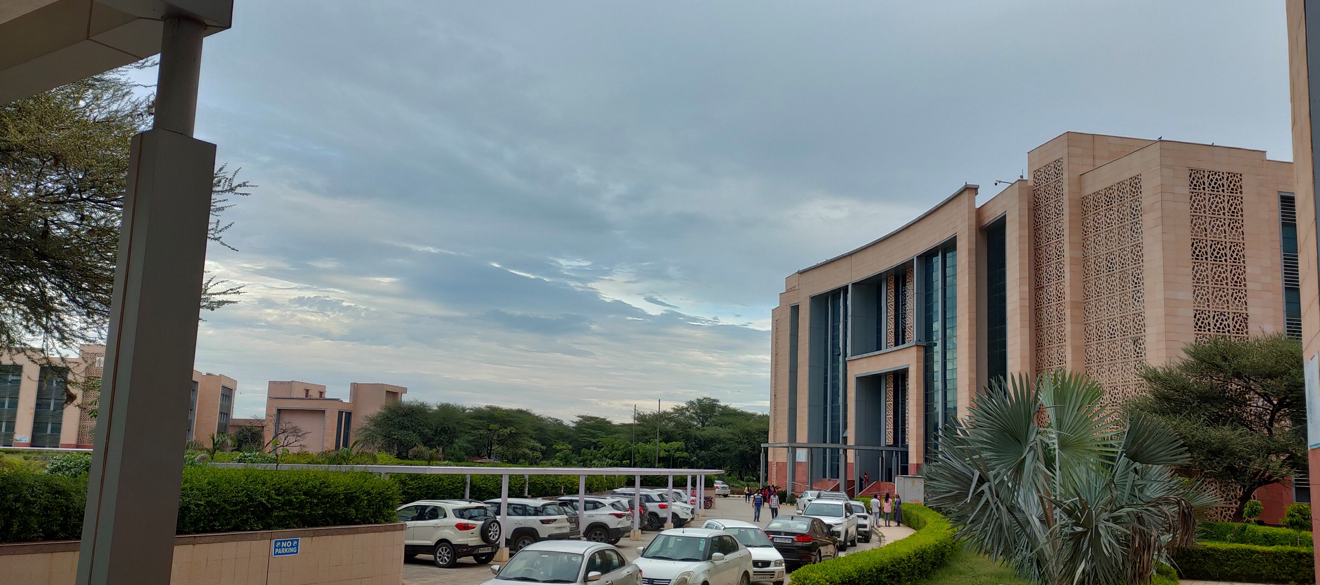 Central University of Haryana Campus View(1)