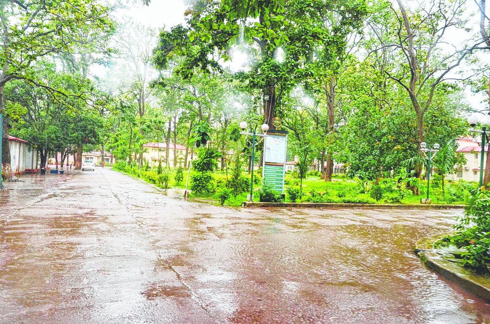 Central University of Jharkhand Others(5)