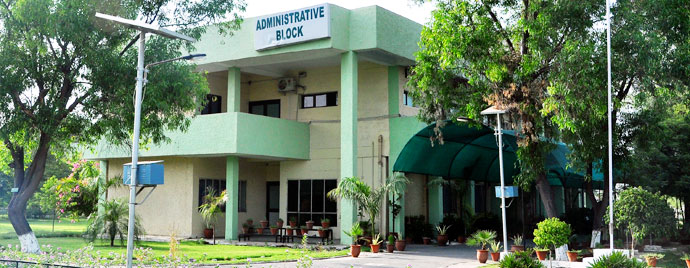 Central University of Punjab Others(1)