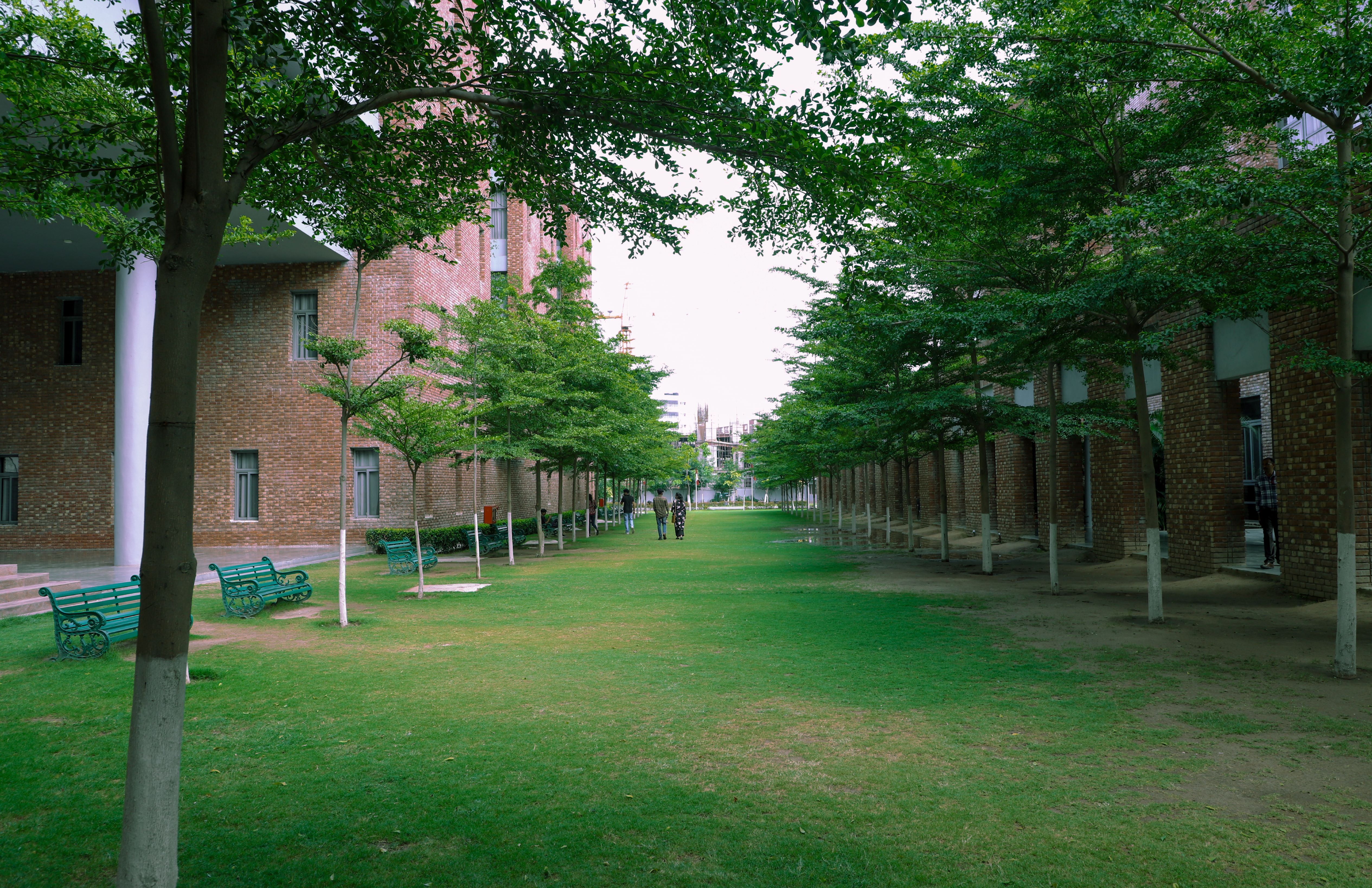 Chandigarh University (CU) Campus View(1)