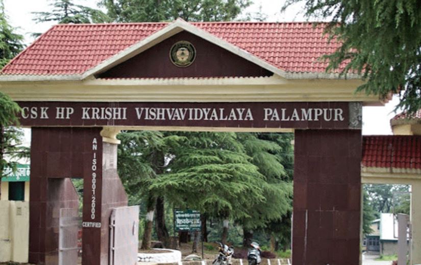 CSKHPKV Entrance