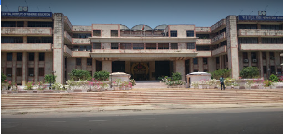 CIFE Campus View