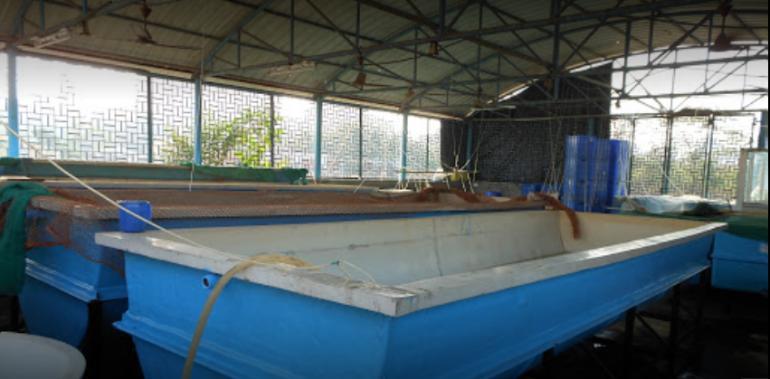 CIFE Labs(3)