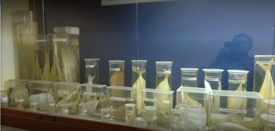 CIFE Labs(4)