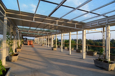 Cresta School of Management, Science and Arts Others(3)