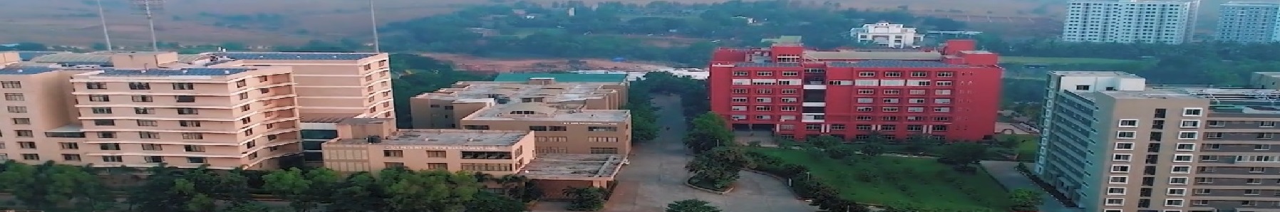 DY Patil University Pune Others(1)