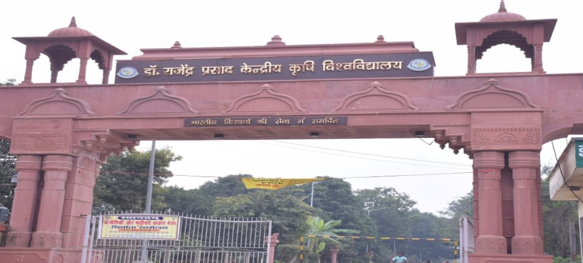 RPCAU Entrance