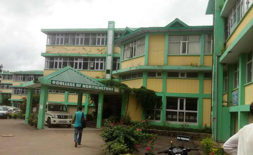 YSP Campus Building(3)