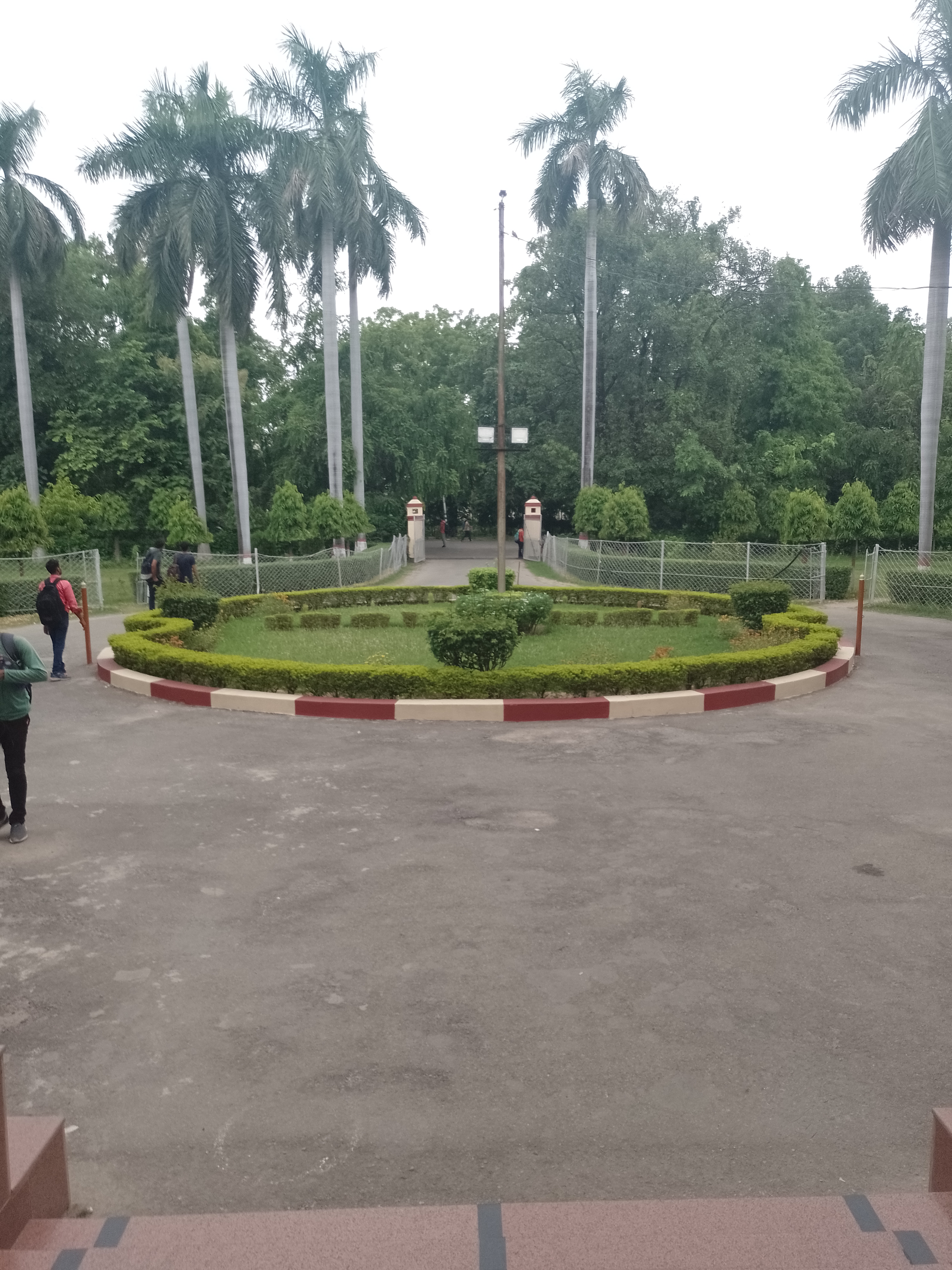 Faculty of Law Others(5)