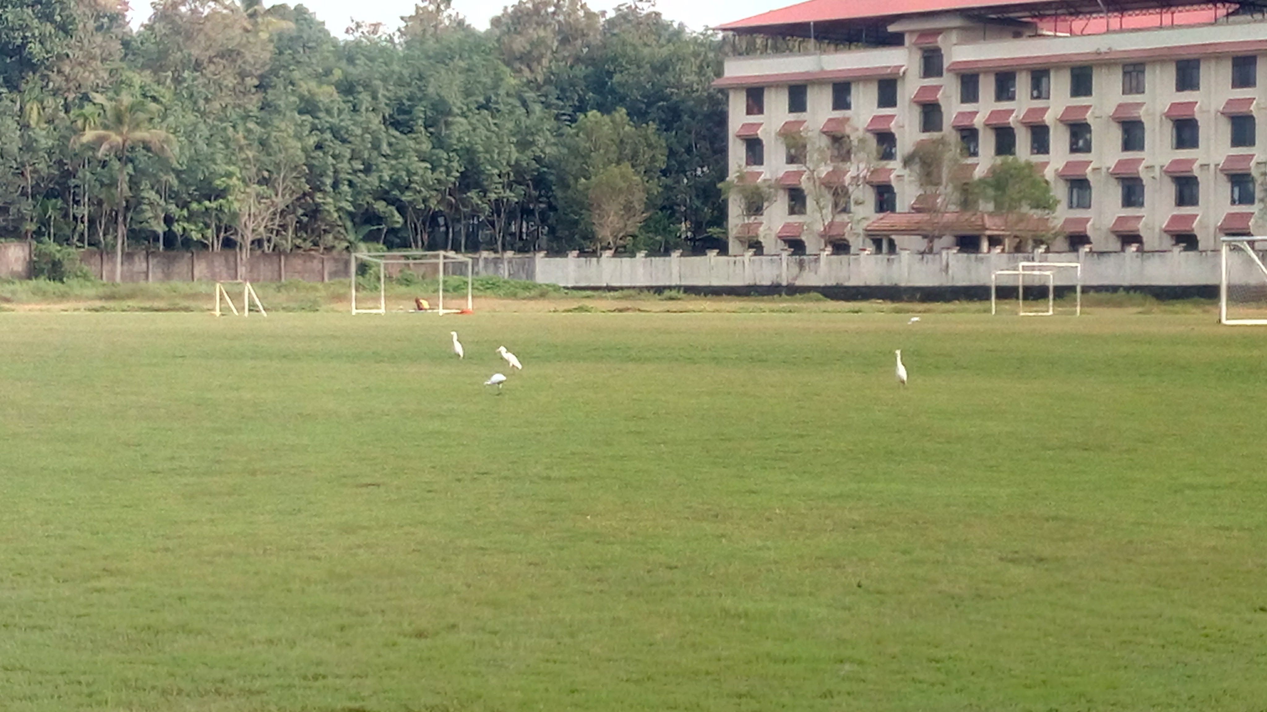 FISAT Playground