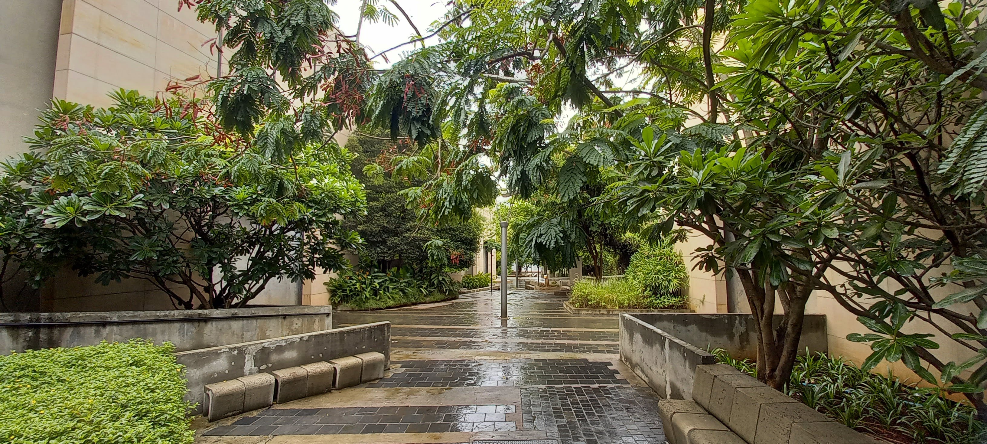 FLAME University Campus View(7)