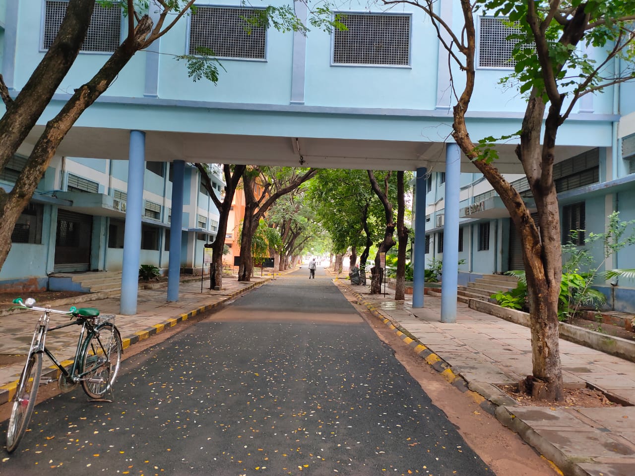 Pulla Reddy College Campus View(2)