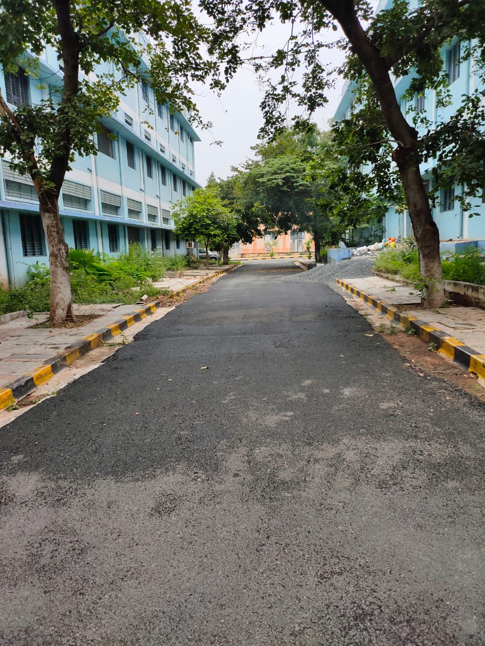 Pulla Reddy College Campus View(3)
