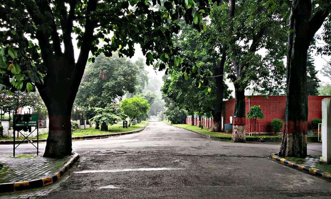 Gurukula Kangri Vishwavidyalaya Campus View(2)
