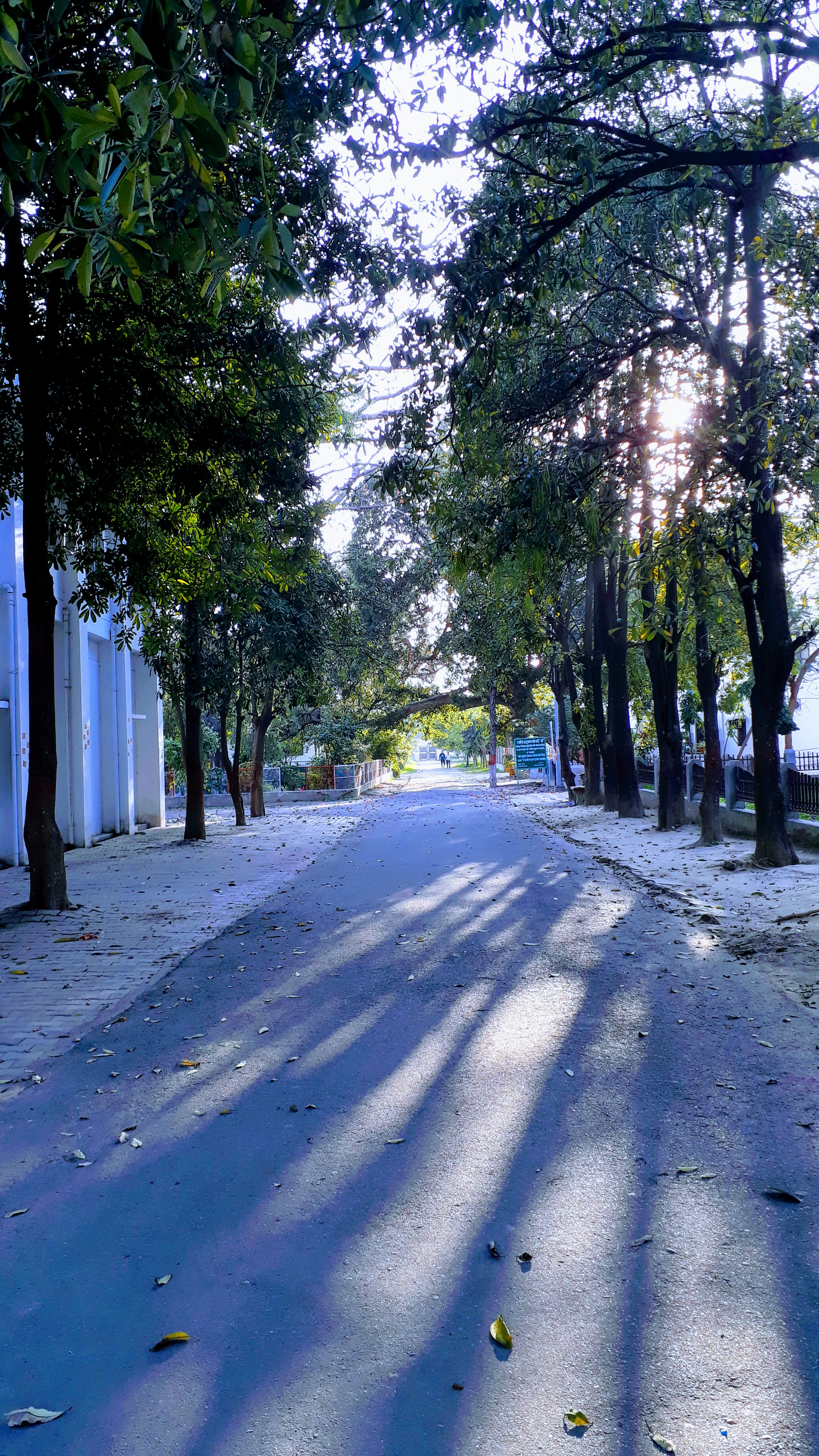 Gurukula Kangri Vishwavidyalaya Campus View(3)
