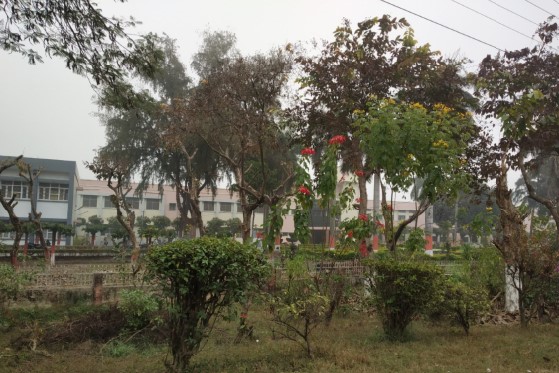 GBPUAT Others(4)