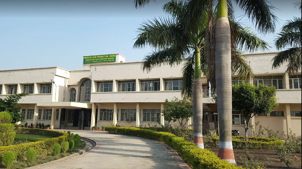 GBPUAT Campus Building(2)