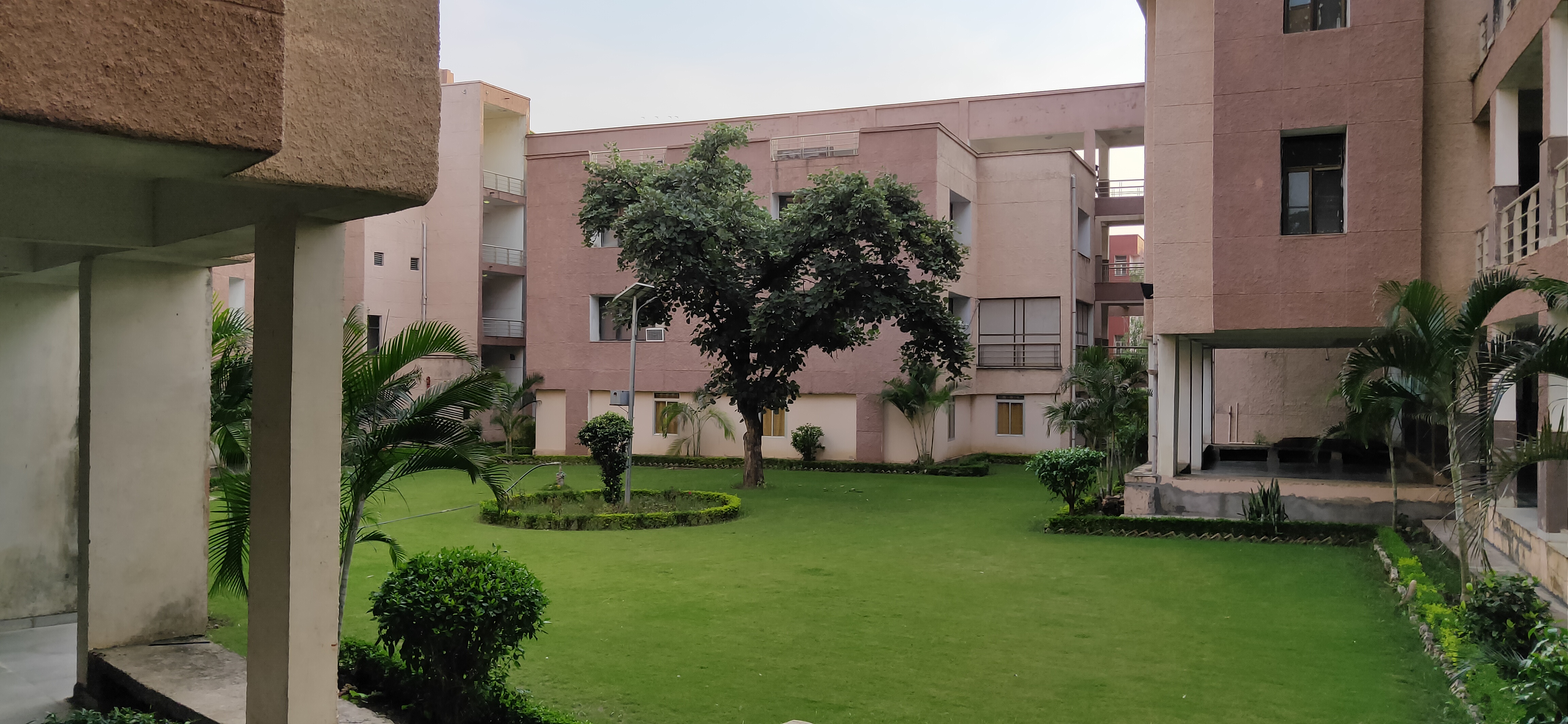 IIITDM Jabalpur Campus View(4)