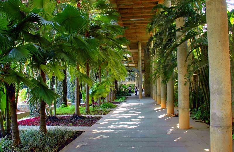 IIM Bangalore Campus View