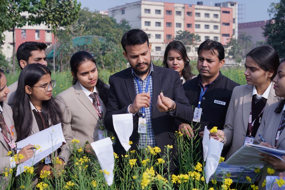 IIMT University Others(4)