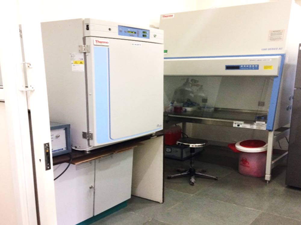 Indian Institute of Public Health, Gandhinagar Labs(5)