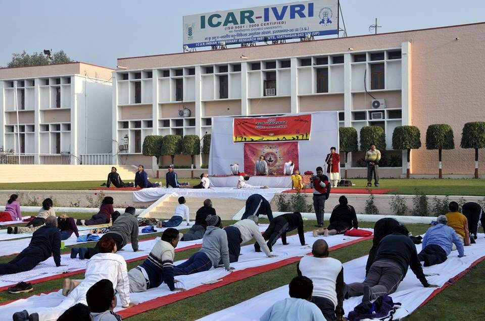 IVRI Others(2)