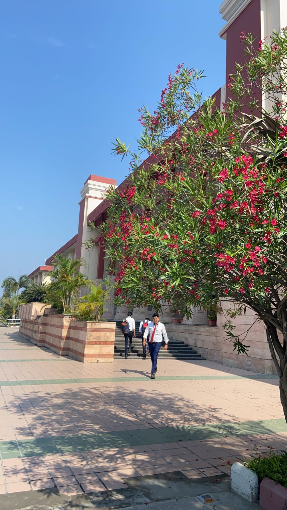 Invertis University Campus View(2)