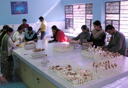 JNVU Labs(2)