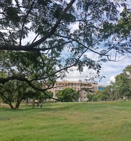 Jain Bangalore Campus Building(5)