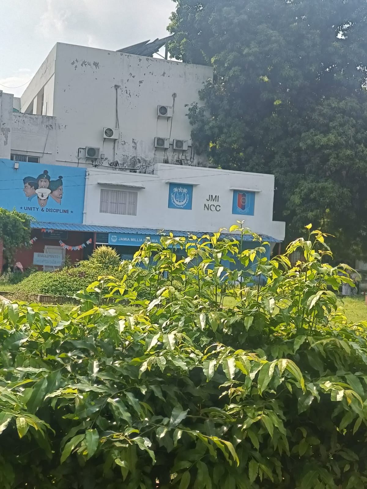 Jamia Millia Islamia Others(6)