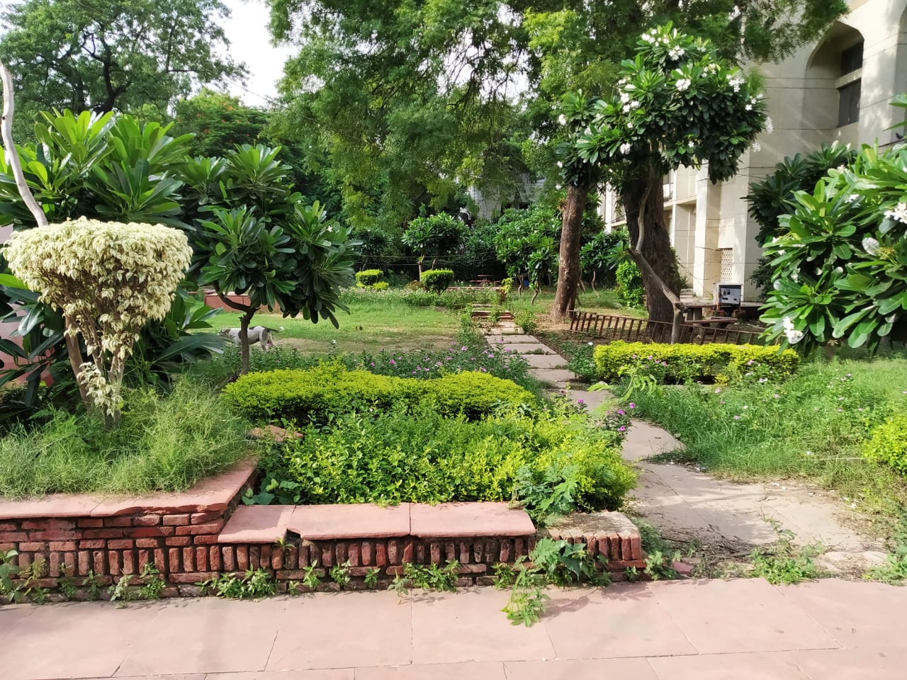 Jamia Millia Islamia Others(8)