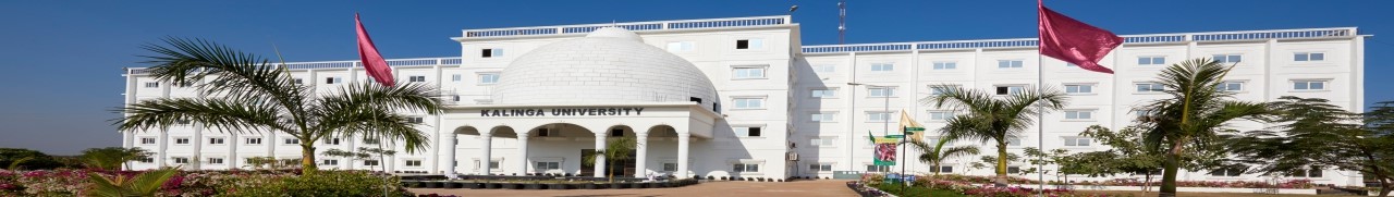 Kalinga University Campus Building(1)