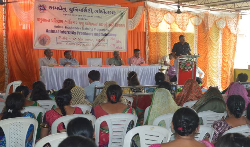 Kamdhenu University Others(2)