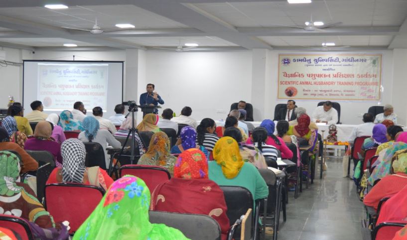 Kamdhenu University Others(3)