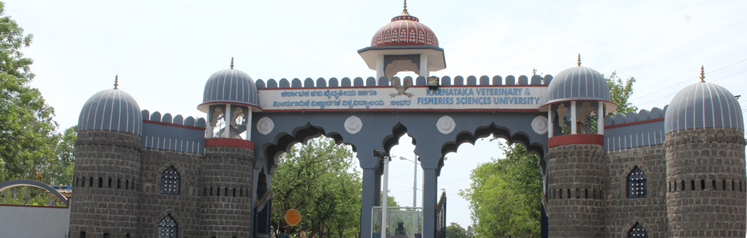 Karanataka Veterinary Animal And Fisheries Science University - KVAFSU Entrance