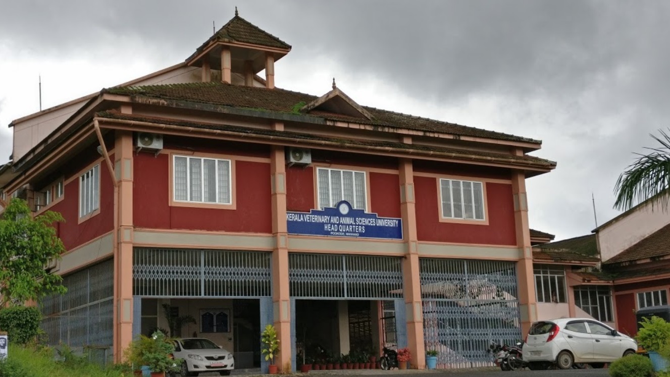 KVASU Campus Building(4)