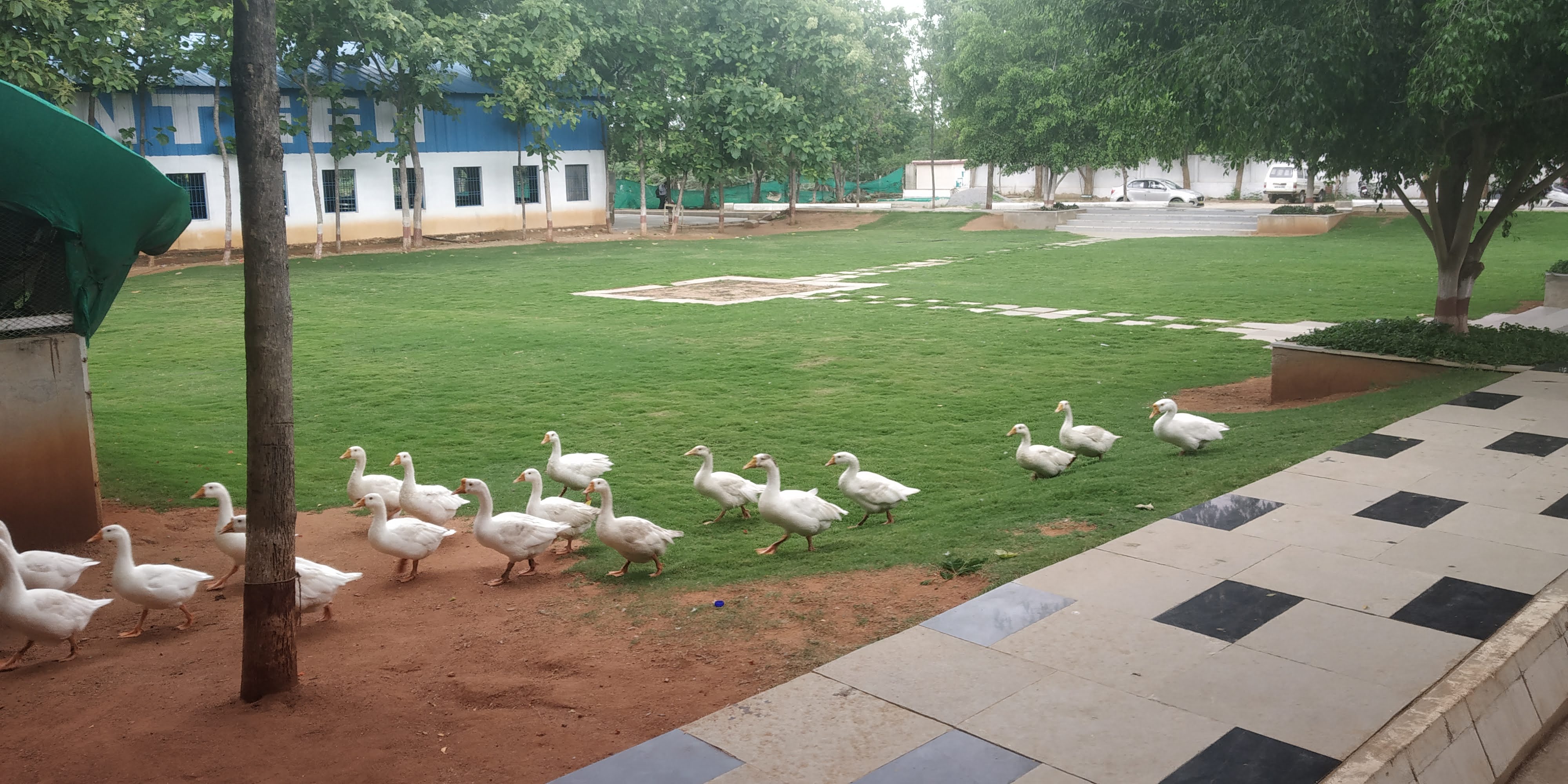 KG Reddy College Others(6)