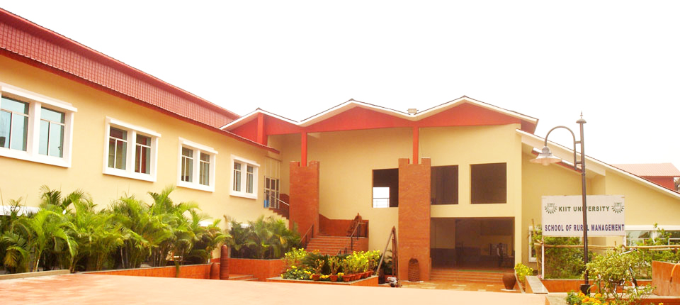 KIIT Campus Building(3)