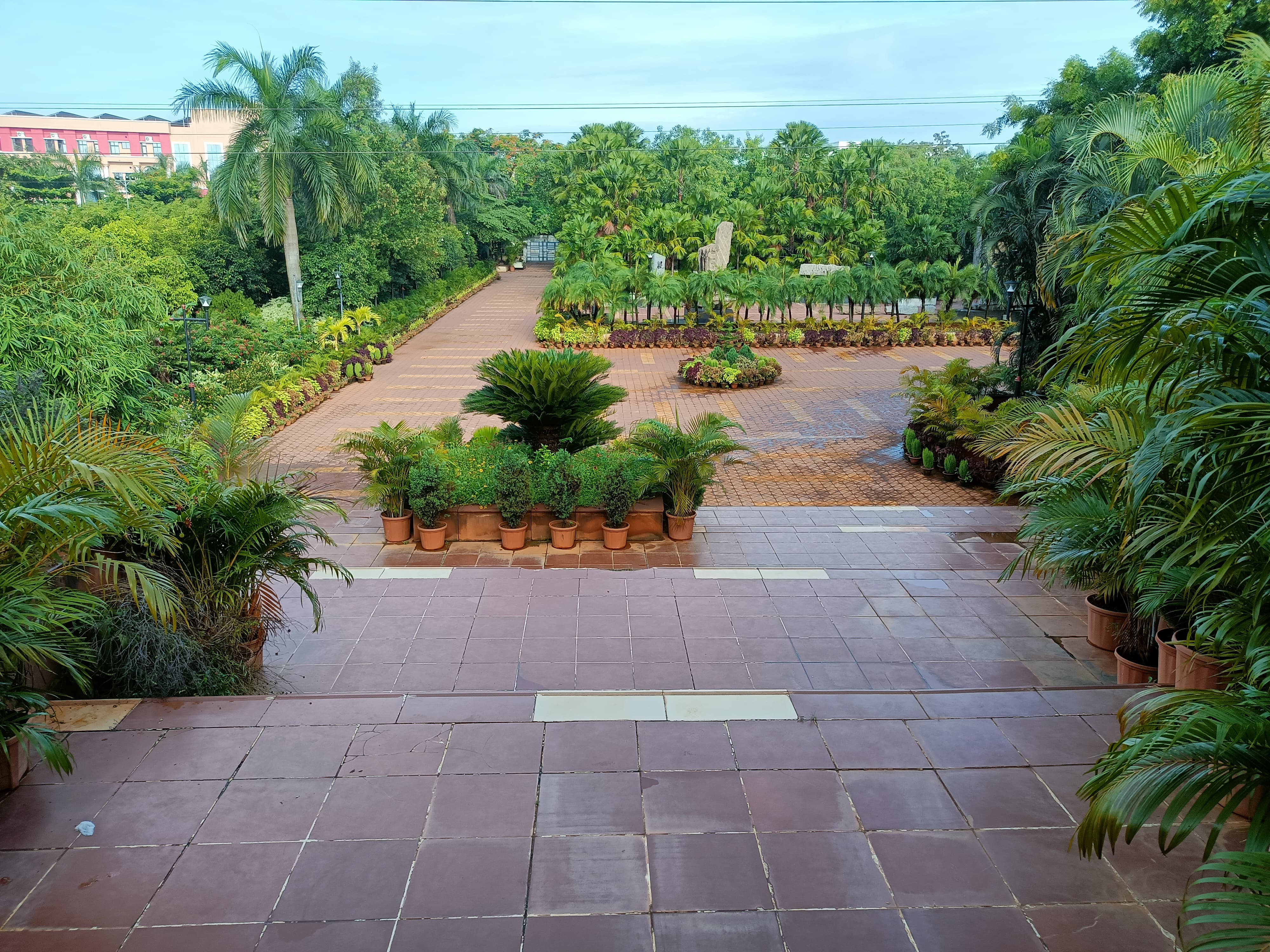 KIIT School of Management Campus View(6)