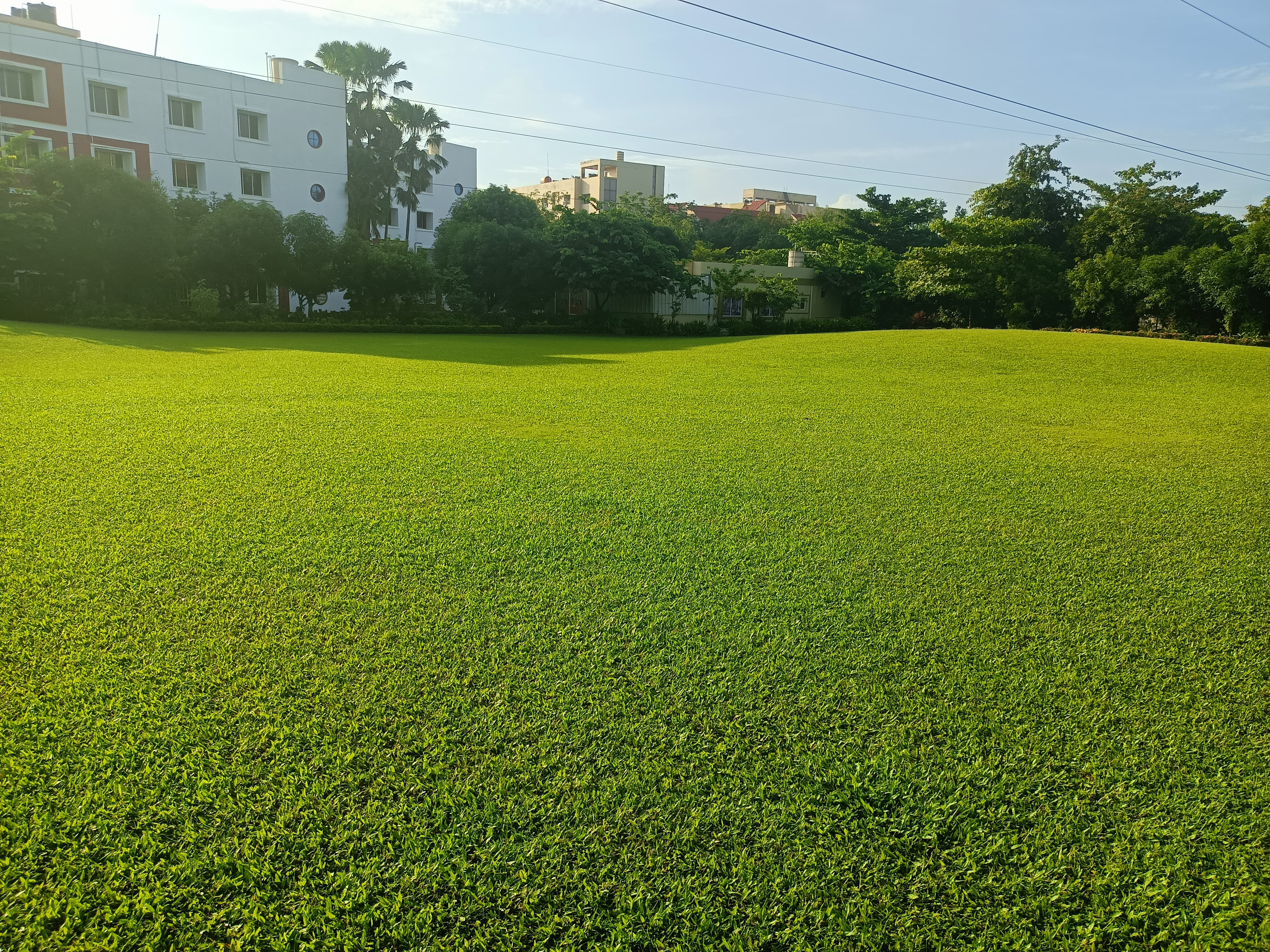 KIIT School of Management Campus View(7)