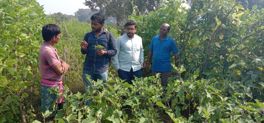 KIIT School of Rural Management Students Work(2)