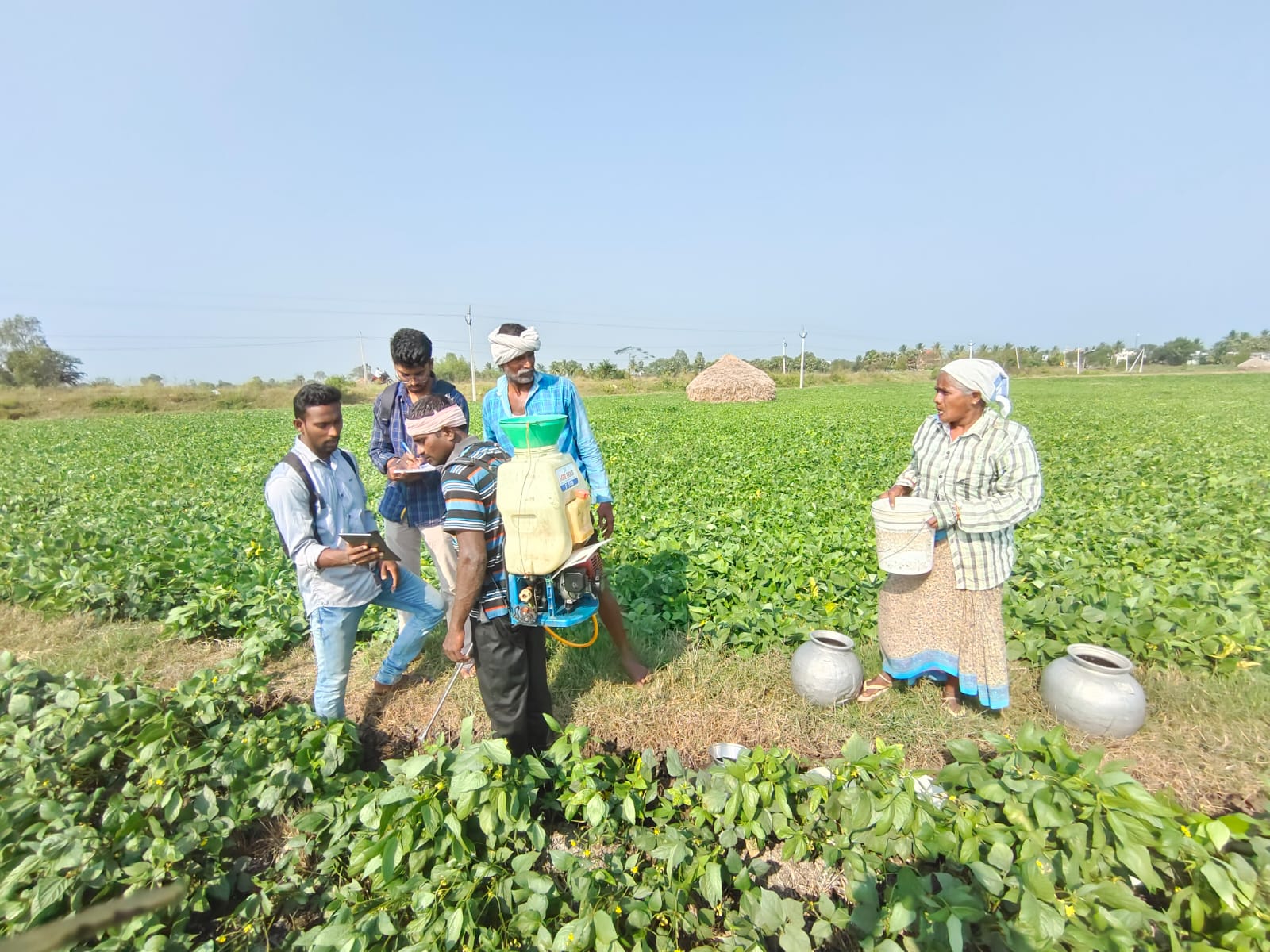 KIIT School of Rural Management Students Work(3)