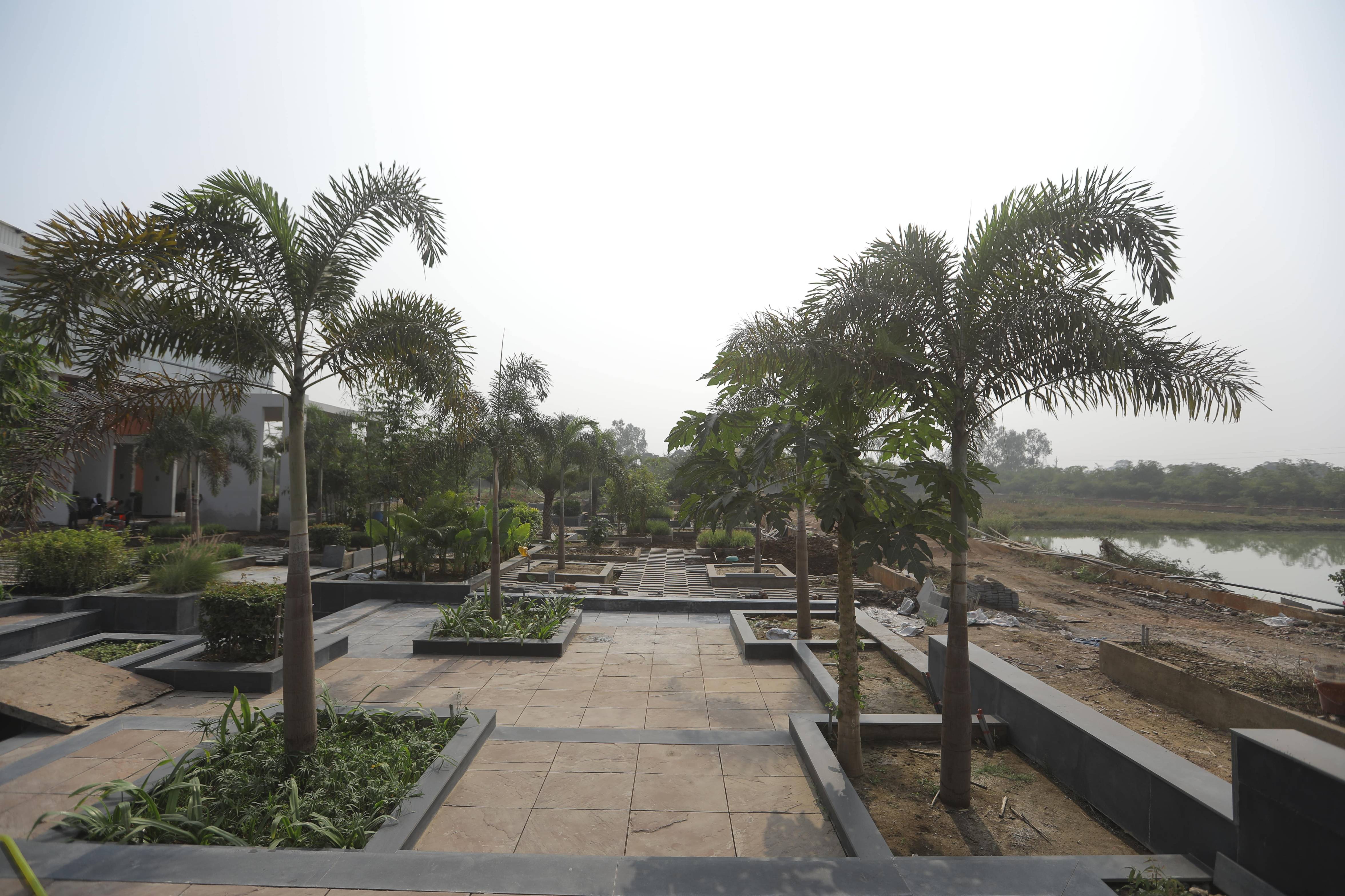KK Modi University Campus View(3)