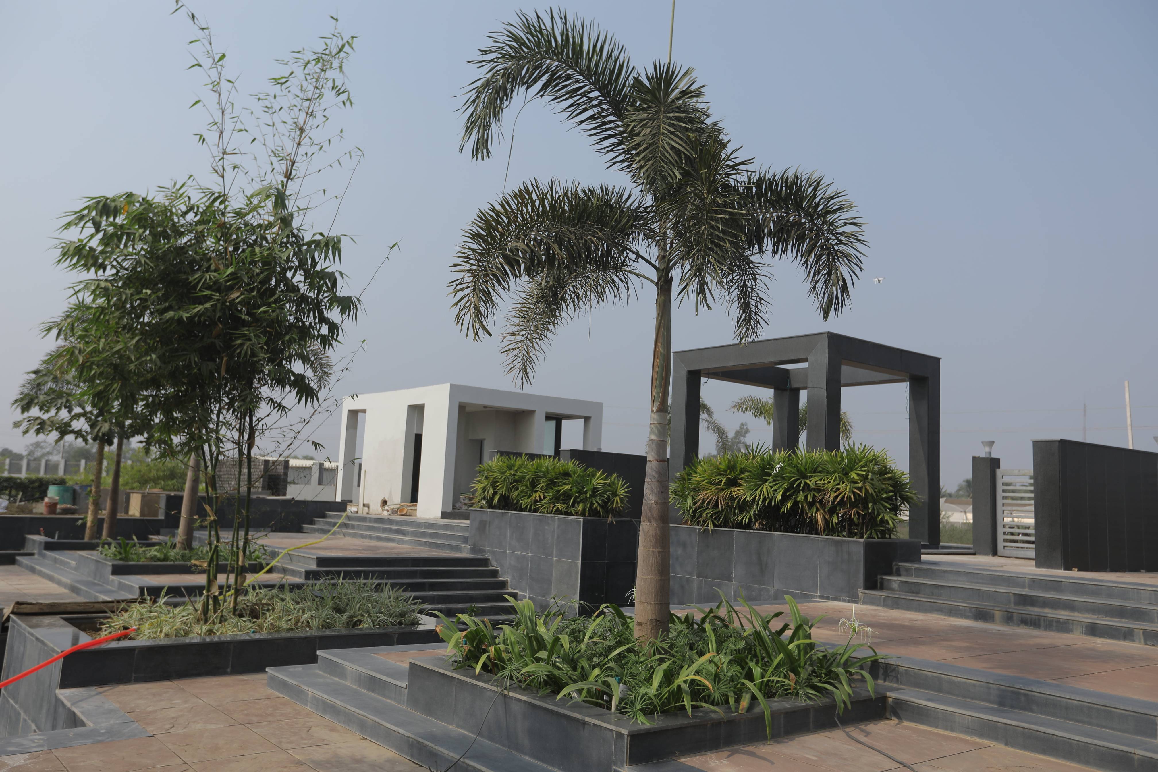 KK Modi University Campus View(5)