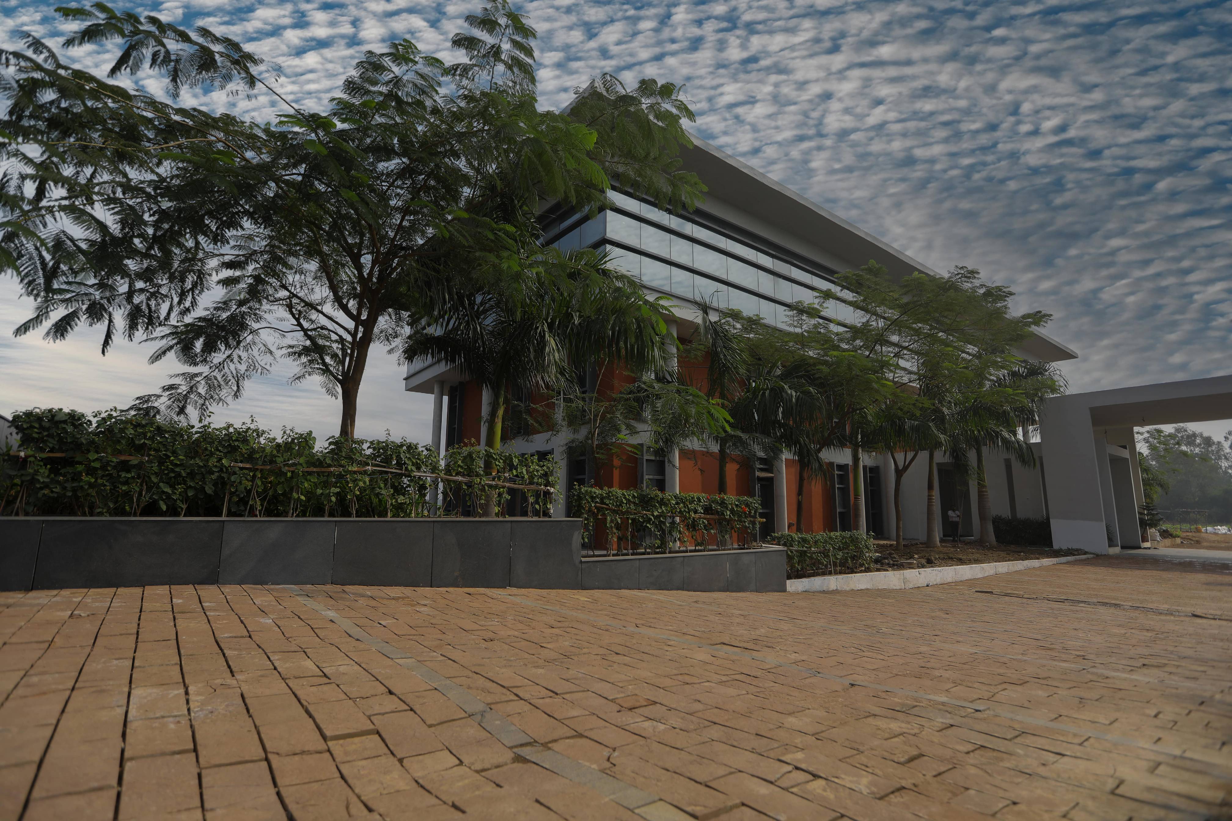 KK Modi University Campus View(6)