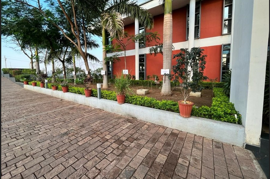 KK Modi University Campus View(15)