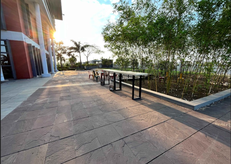 KK Modi University Campus View(20)