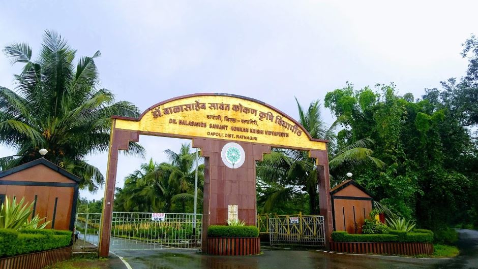 DBSKKV Entrance